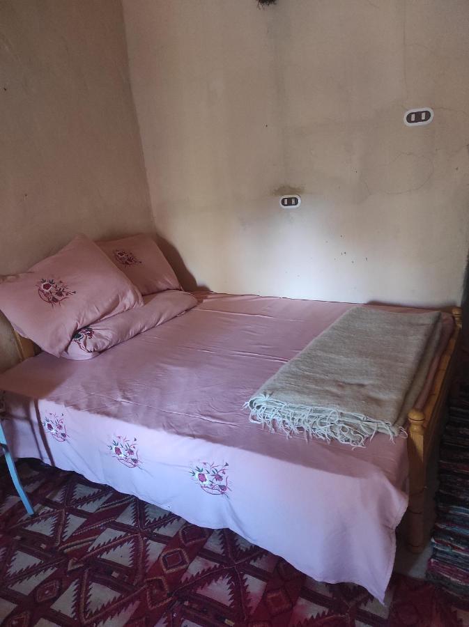 Olive Garden House Siwa Hostel Siwa Oasis Bagian luar foto