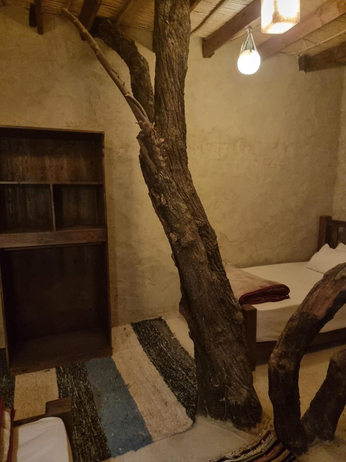 Olive Garden House Siwa Hostel Siwa Oasis Bagian luar foto