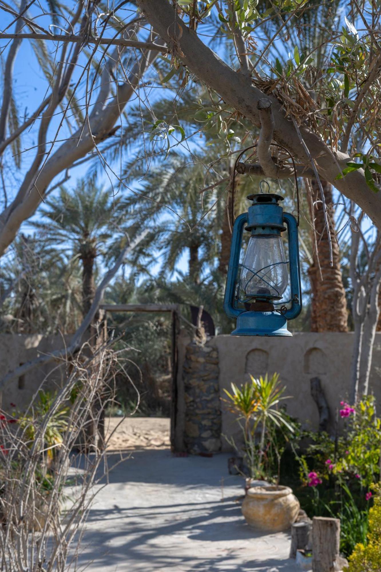Olive Garden House Siwa Hostel Siwa Oasis Bagian luar foto