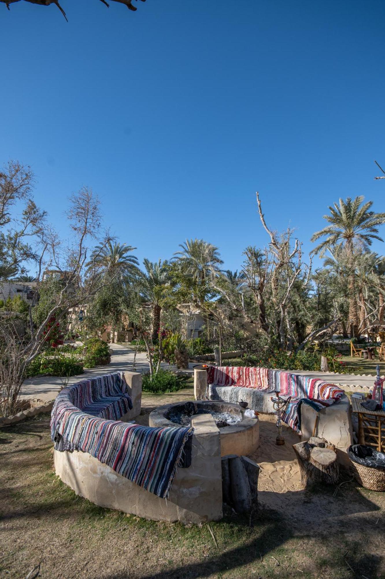 Olive Garden House Siwa Hostel Siwa Oasis Bagian luar foto