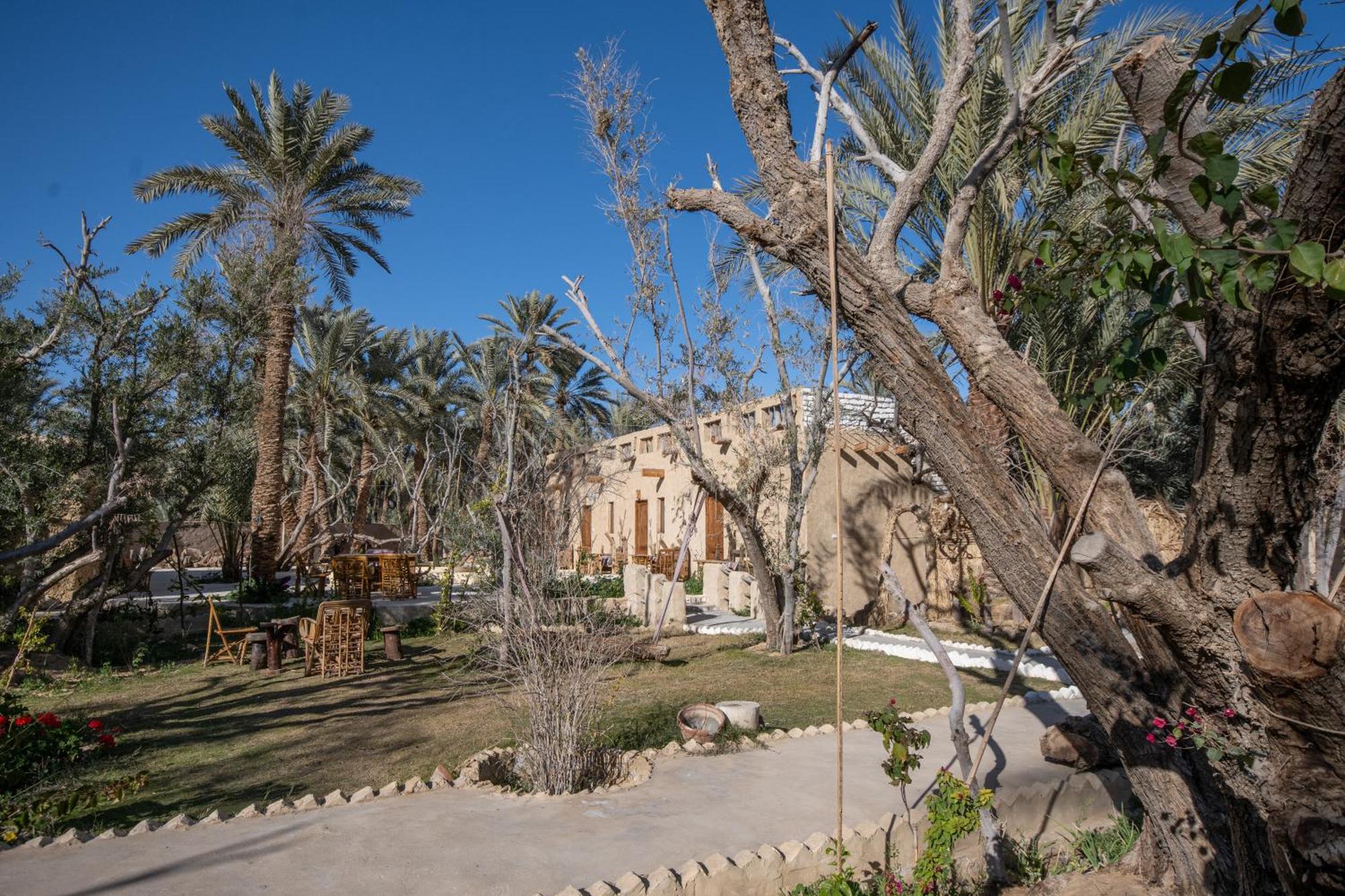 Olive Garden House Siwa Hostel Siwa Oasis Bagian luar foto