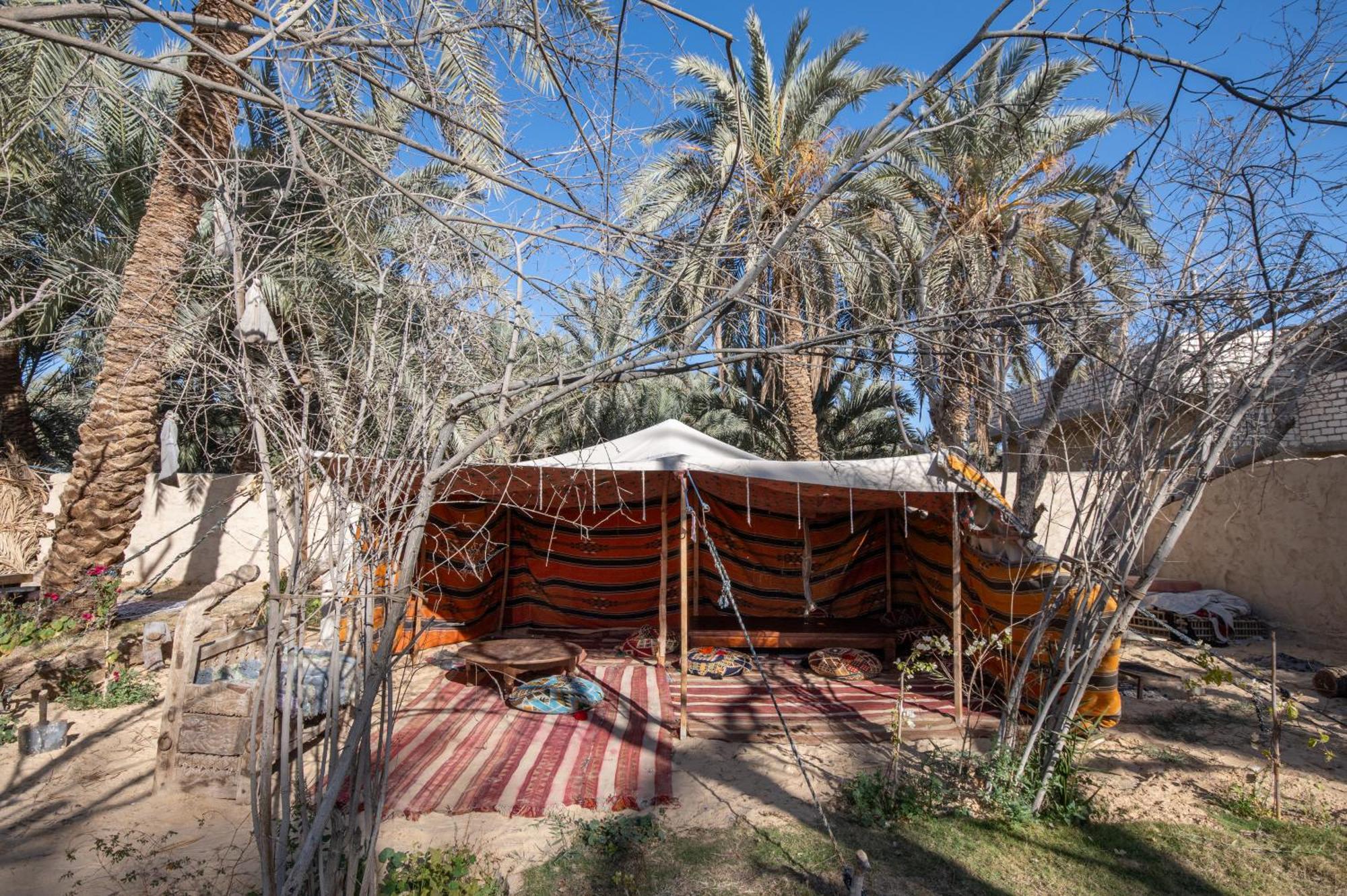 Olive Garden House Siwa Hostel Siwa Oasis Bagian luar foto