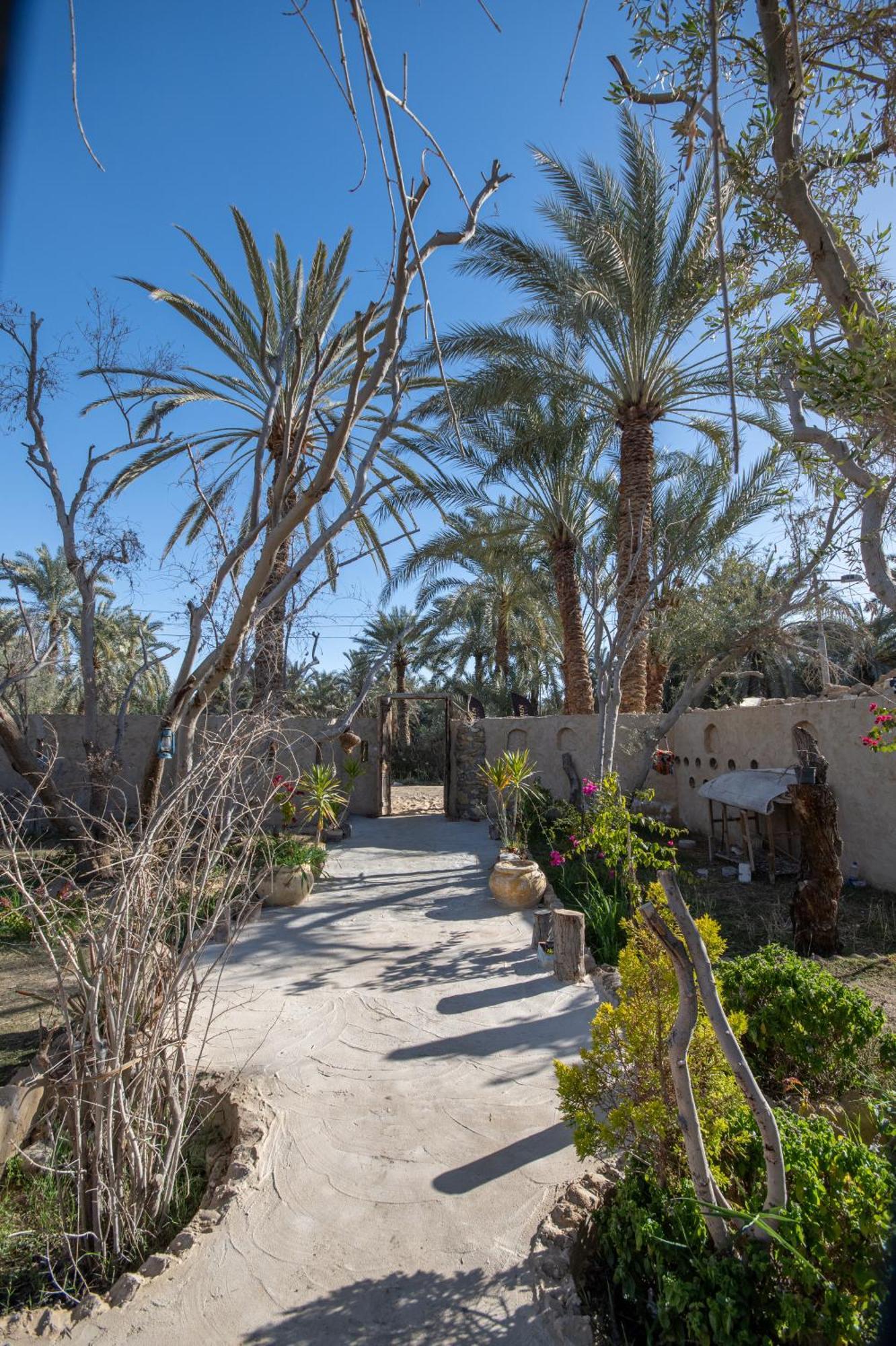 Olive Garden House Siwa Hostel Siwa Oasis Bagian luar foto