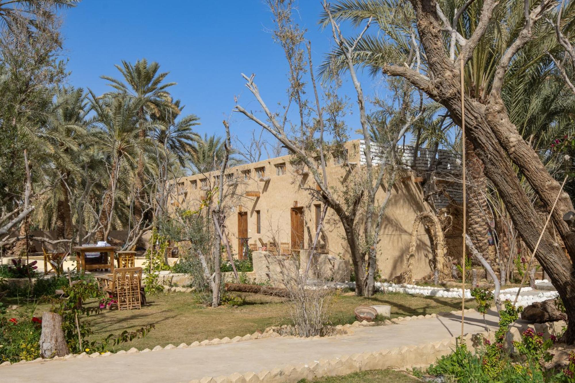 Olive Garden House Siwa Hostel Siwa Oasis Bagian luar foto