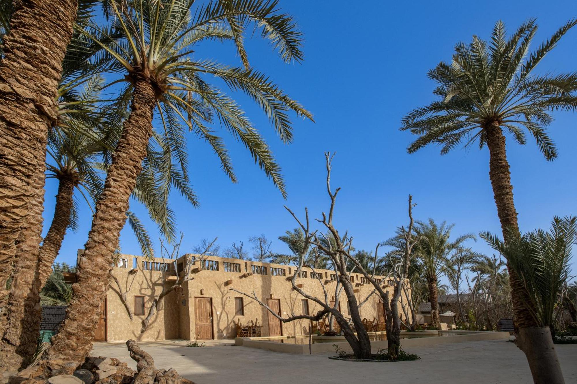Olive Garden House Siwa Hostel Siwa Oasis Bagian luar foto