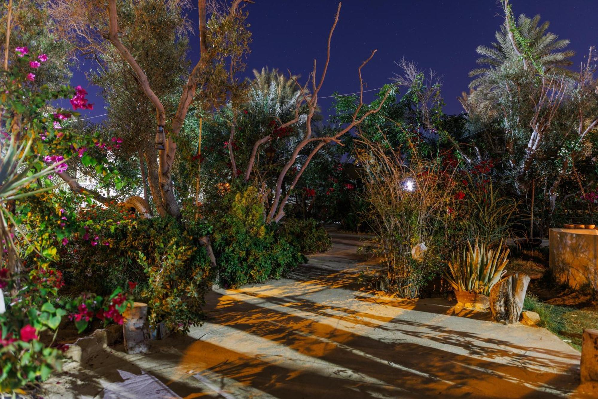 Olive Garden House Siwa Hostel Siwa Oasis Bagian luar foto