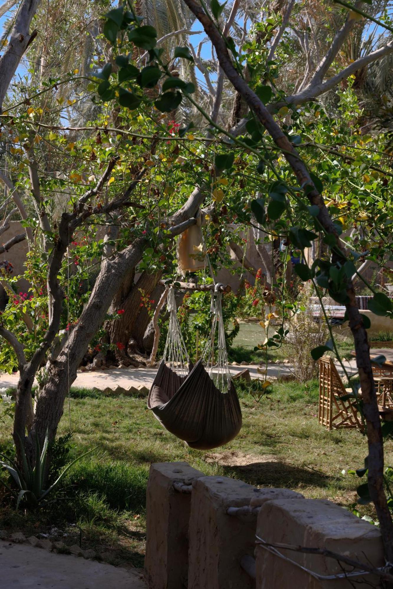 Olive Garden House Siwa Hostel Siwa Oasis Bagian luar foto